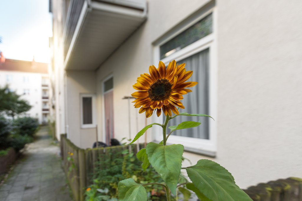Gepflegte 3-Zimmer-Wohnung im Erdgeschoss mit Terrasse in BRemerhaven-Geestemünde