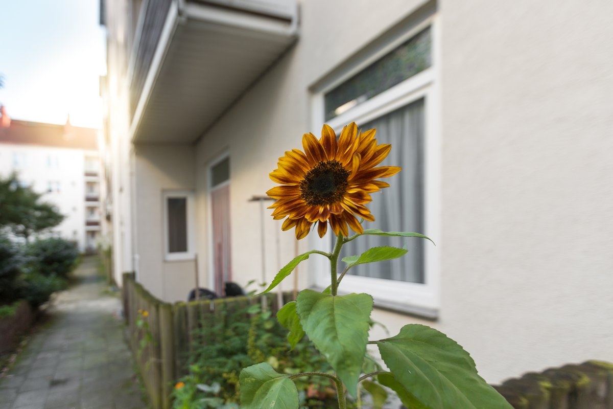 Gepflegte 3-Zimmer-Wohnung im Erdgeschoss mit Terrasse in BRemerhaven-Geestemünde