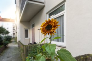 Gepflegte 3-Zimmer-Wohnung im Erdgeschoss mit Terrasse in BRemerhaven-Geestemünde